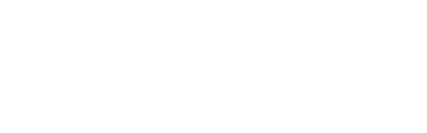 CaseFlow Automation
